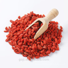 2017 NOUVEAU GOJI BERRY CERTIFIÉ BIO CHINOIS